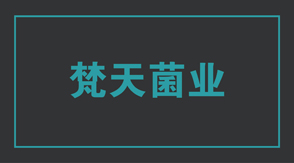 食品行业南京浦口区工作服设计款式